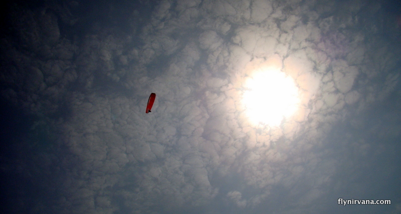 Soar like a bird 